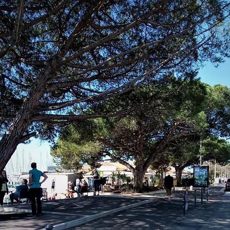 Le Jardin De La Plage - Linges Inclus Ла-Лонд-ле-Мор Экстерьер фото